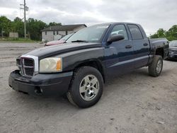 Salvage cars for sale at York Haven, PA auction: 2006 Dodge Dakota Quad SLT