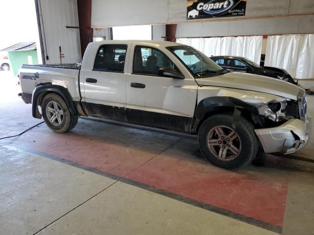 2007 Dodge Dakota Quattro