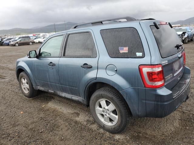 2011 Ford Escape XLT