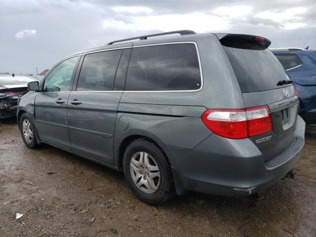 2007 Honda Odyssey EXL