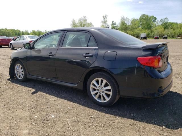 2010 Toyota Corolla Base