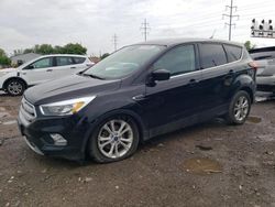 Salvage cars for sale at Columbus, OH auction: 2019 Ford Escape SE