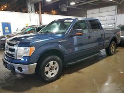 Salvage cars for sale at Blaine, MN auction: 2014 Ford F150 Supercrew