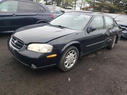 Salvage cars for sale at New Britain, CT auction: 2000 Nissan Maxima GLE