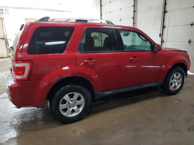 2011 Ford Escape Limited