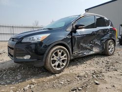 Salvage cars for sale at Appleton, WI auction: 2016 Ford Escape Titanium