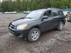 Toyota salvage cars for sale: 2009 Toyota Rav4