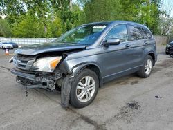 Salvage cars for sale from Copart Portland, OR: 2010 Honda CR-V EXL