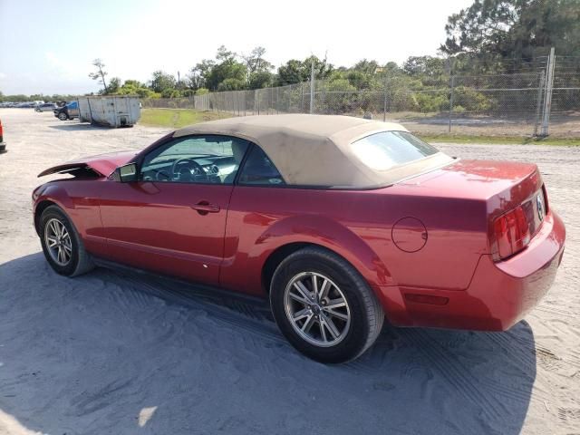 2005 Ford Mustang