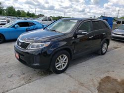 Salvage cars for sale at Lawrenceburg, KY auction: 2014 KIA Sorento LX