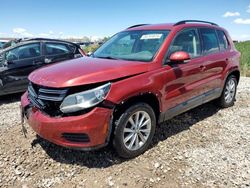 Volkswagen Tiguan S salvage cars for sale: 2015 Volkswagen Tiguan S