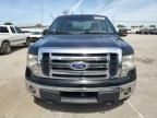 2010 Ford F150