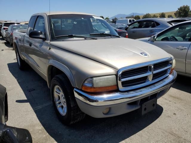 2002 Dodge Dakota SLT