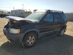 Salvage cars for sale at San Martin, CA auction: 2003 Ford Escape XLT