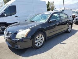 Salvage cars for sale from Copart Rancho Cucamonga, CA: 2008 Nissan Maxima SE