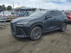 2024 Lexus NX 350H Base