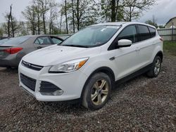 Ford Escape se salvage cars for sale: 2016 Ford Escape SE