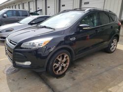 Salvage cars for sale from Copart Louisville, KY: 2016 Ford Escape Titanium