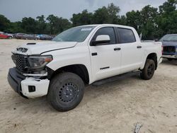 Vehiculos salvage en venta de Copart Ocala, FL: 2019 Toyota Tundra Crewmax SR5