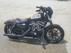 Salvage motorcycles for sale at Bridgeton, MO auction: 2019 Harley-Davidson XL883 N