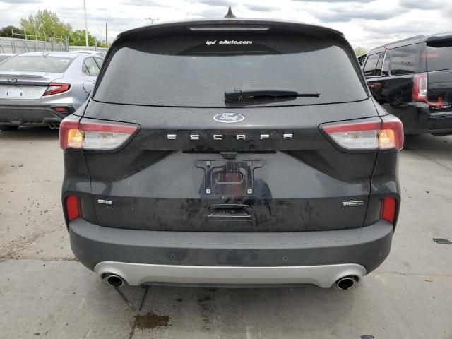 2020 Ford Escape SE Sport