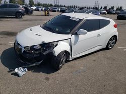 Salvage cars for sale from Copart Rancho Cucamonga, CA: 2013 Hyundai Veloster