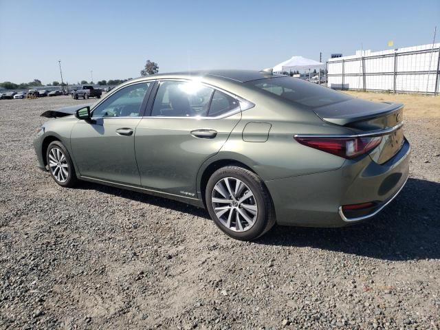 2020 Lexus ES 300H Base