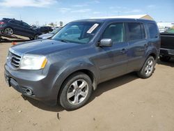 Salvage cars for sale at Brighton, CO auction: 2013 Honda Pilot EXL