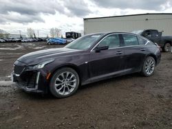 Salvage cars for sale from Copart Rocky View County, AB: 2020 Cadillac CT5 Premium Luxury