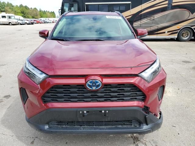 2023 Toyota Rav4 XLE