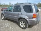 2007 Ford Escape HEV