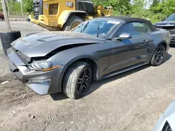 Salvage cars for sale at Marlboro, NY auction: 2022 Ford Mustang