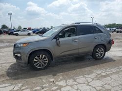 Salvage cars for sale at Indianapolis, IN auction: 2013 KIA Sorento SX