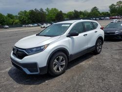 Salvage cars for sale at Madisonville, TN auction: 2020 Honda CR-V LX