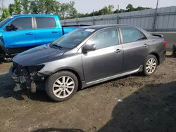 Salvage cars for sale at Spartanburg, SC auction: 2010 Toyota Corolla Base