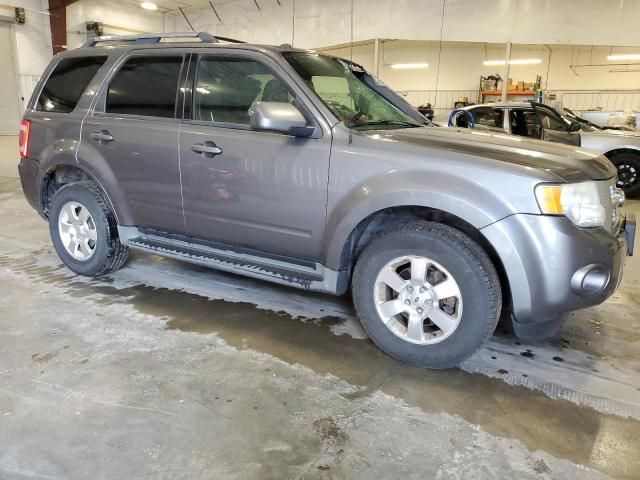 2011 Ford Escape Limited