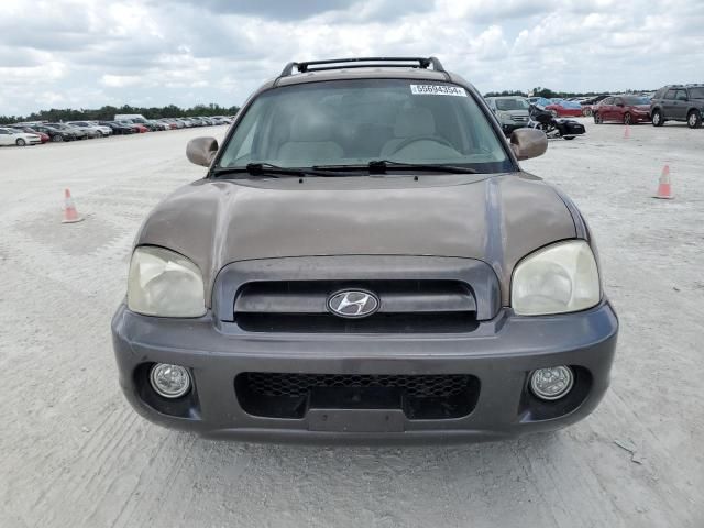 2005 Hyundai Santa FE GLS