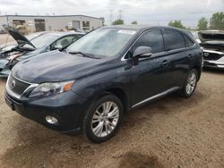 Lexus salvage cars for sale: 2010 Lexus RX 450