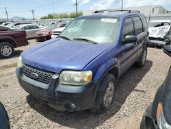 Salvage cars for sale at Phoenix, AZ auction: 2005 Ford Escape XLT