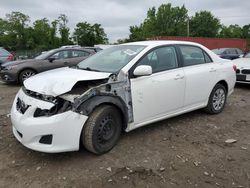 Salvage cars for sale at Baltimore, MD auction: 2010 Toyota Corolla Base