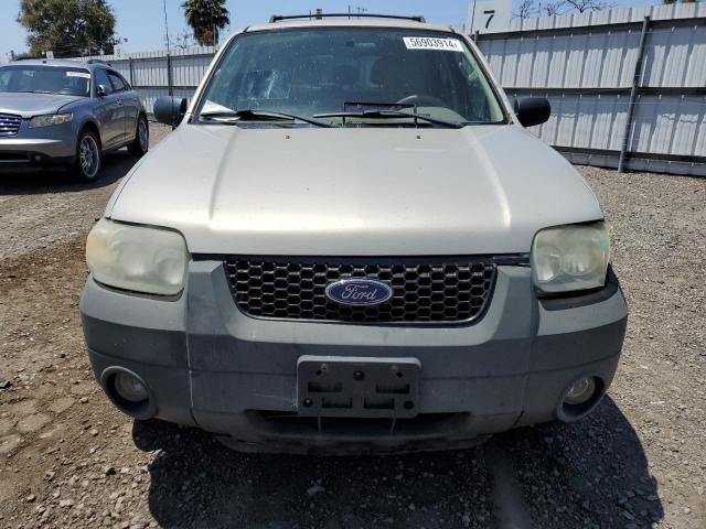 2005 Ford Escape XLT