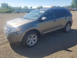 Salvage cars for sale at Columbia Station, OH auction: 2013 Ford Edge SEL