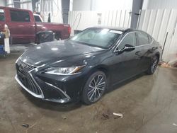 Salvage cars for sale from Copart Ham Lake, MN: 2022 Lexus ES 350 Base