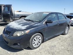 2009 Toyota Corolla Base for sale in Antelope, CA