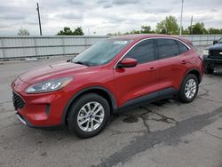 Hail Damaged Cars for sale at auction: 2020 Ford Escape SE