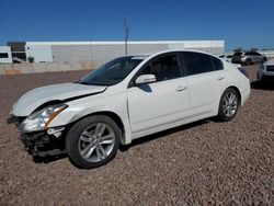 Salvage cars for sale at Phoenix, AZ auction: 2010 Nissan Altima SR