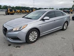 Salvage cars for sale at Dunn, NC auction: 2016 Hyundai Sonata Hybrid