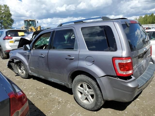 2008 Ford Escape HEV