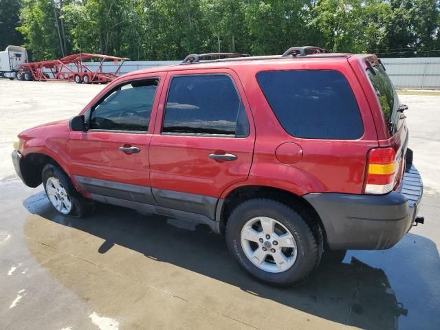 2006 Ford Escape XLT