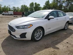 Ford Fusion se salvage cars for sale: 2019 Ford Fusion SE
